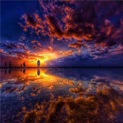 今天买什么特马下载手机版